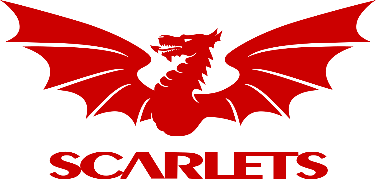 Scarlets rugby