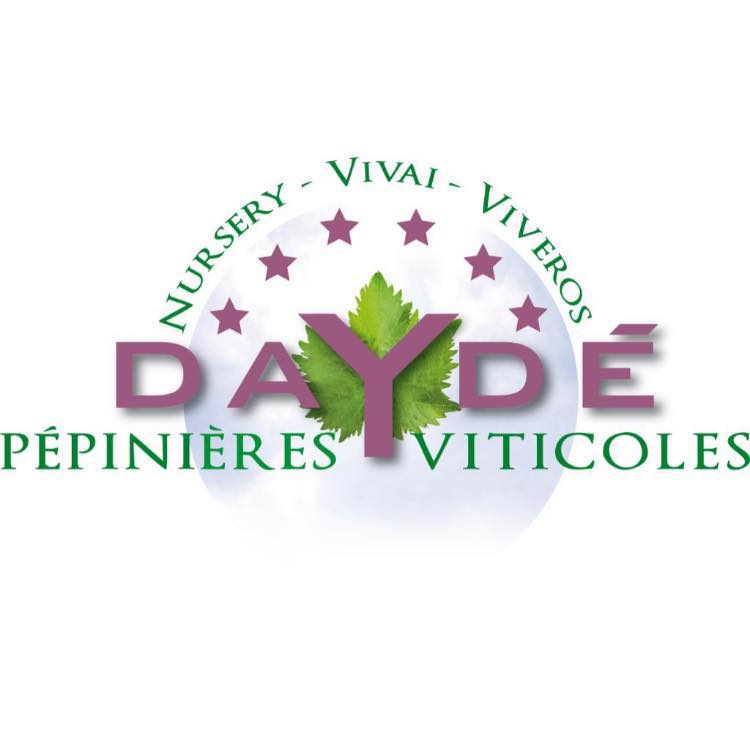 Logo partenaire majeur Dayle - Castres Olympique